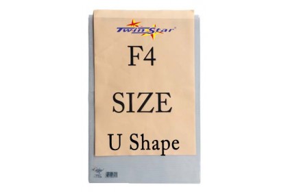 Twin Star F4 Size Transparent Document Holder