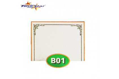 TS 3010 Twin Star Hot Stamping Certificate Gold Border Card