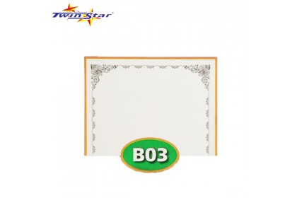TS 3010 Twin Star Hot Stamping Certificate Gold Border Card