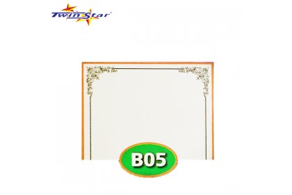 TS 3010 Twin Star Hot Stamping Certificate Gold Border Card