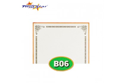 TS 3010 Twin Star Hot Stamping Certificate Gold Border Card