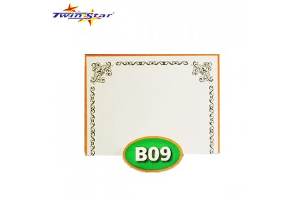 TS 3010 Twin Star Hot Stamping Certificate Gold Border Card