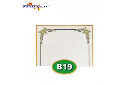 TS 3010 Twin Star Hot Stamping Certificate Gold Border Card