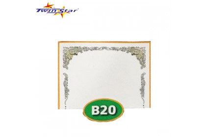 TS 3010 Twin Star Hot Stamping Certificate Gold Border Card