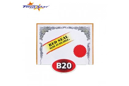 TS 3009 Twin Star Hot Stamping Certificate Gold Border Card (With Red Seal /Right Side)