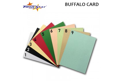 TS 3071 Twin Star A4 230gsm Buffalo Card (100 sheets)