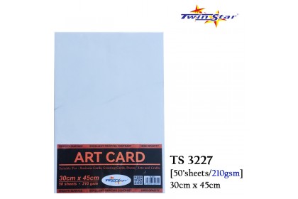 Twin Star Art Card A4 Size / 30 x 45cm Twin Star Art Card A4 Size / 30 x 45cm